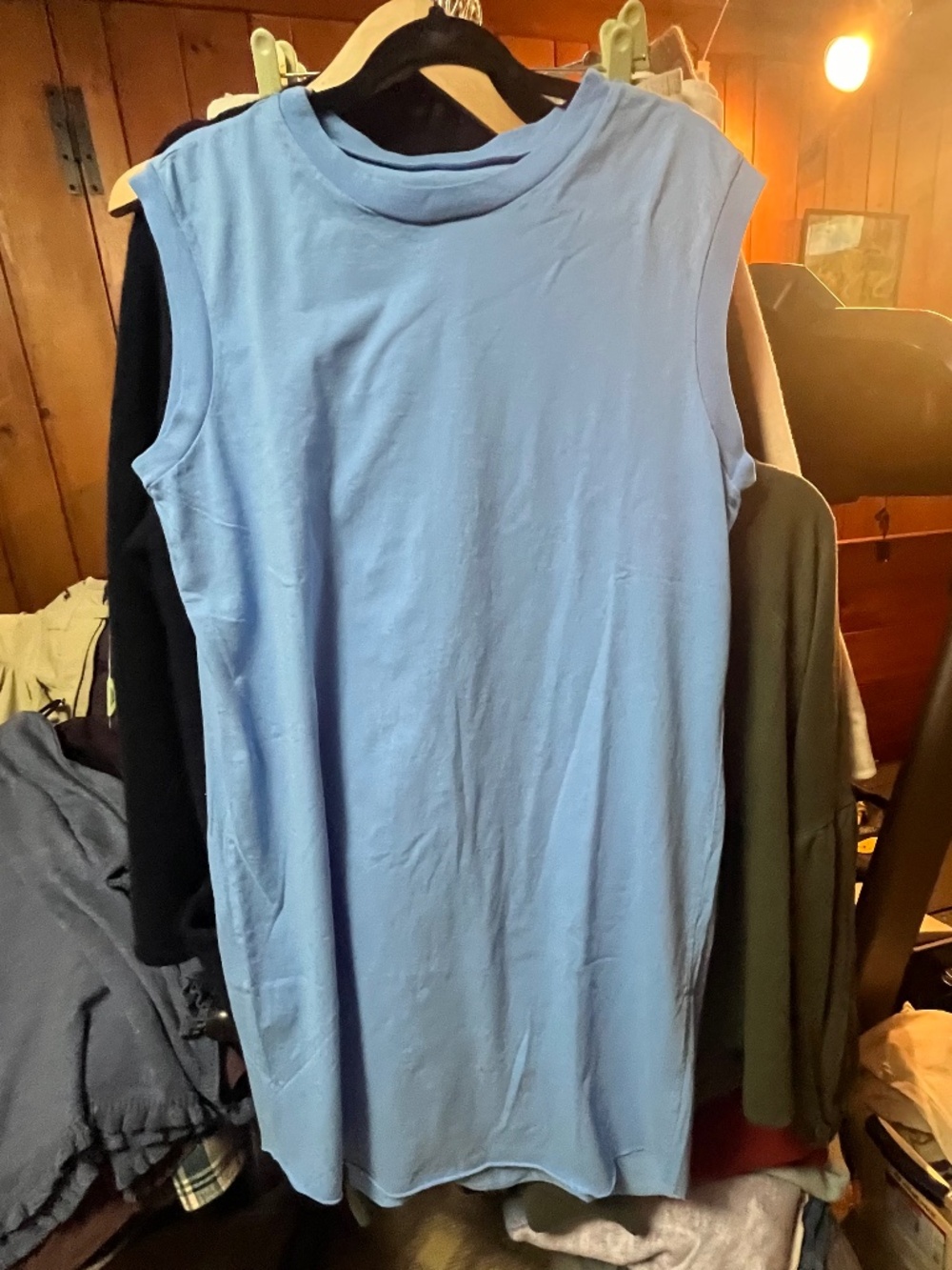 Frank & Eileen Blue Tunic Dress, L